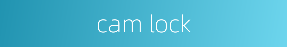 cam lock的同义词