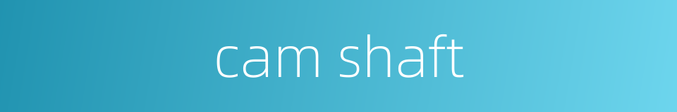 cam shaft的同义词