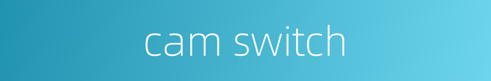 cam switch的同义词