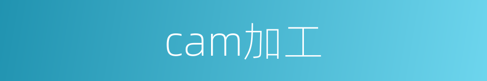 cam加工的同义词