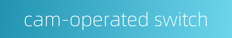 cam-operated switch的同义词