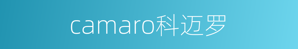 camaro科迈罗的同义词