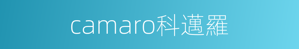camaro科邁羅的同義詞