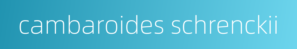 cambaroides schrenckii的同义词
