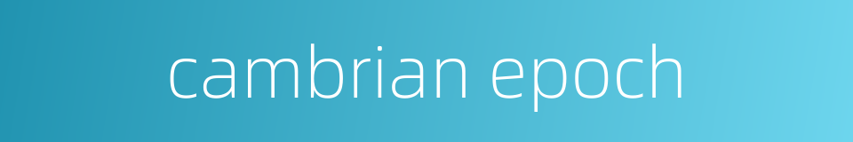cambrian epoch的同义词