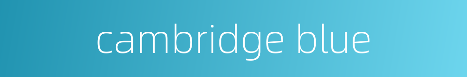 cambridge blue的同义词