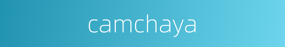 camchaya的同义词