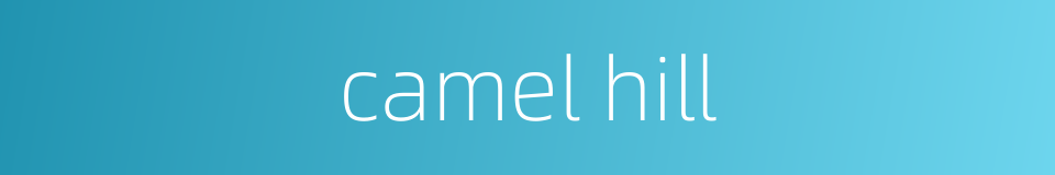 camel hill的同义词