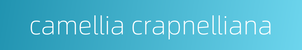 camellia crapnelliana的同义词