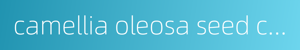 camellia oleosa seed cake的同义词