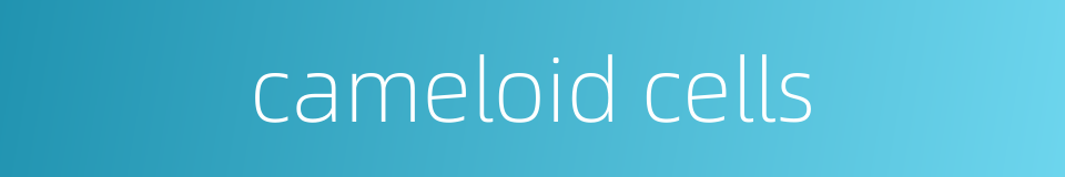 cameloid cells的同义词