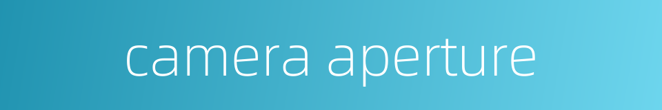 camera aperture的同义词