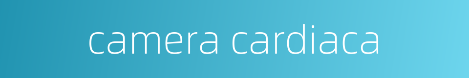 camera cardiaca的同义词