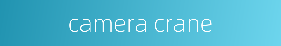 camera crane的同义词