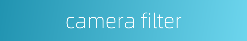 camera filter的同义词