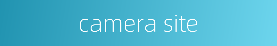 camera site的同义词