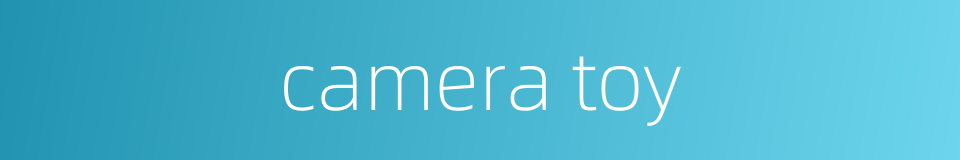 camera toy的同义词