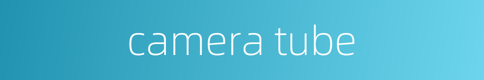 camera tube的同义词