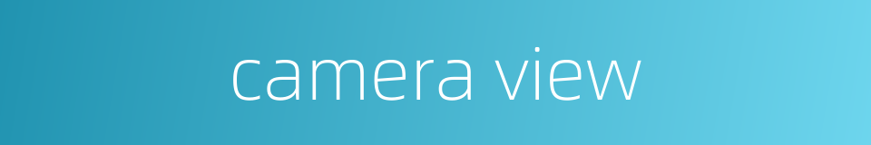 camera view的同义词