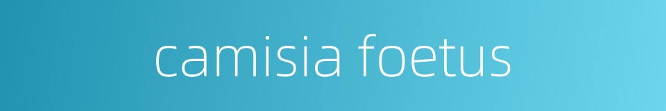 camisia foetus的同义词