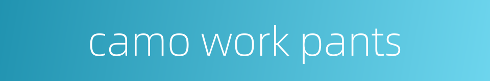 camo work pants的同义词