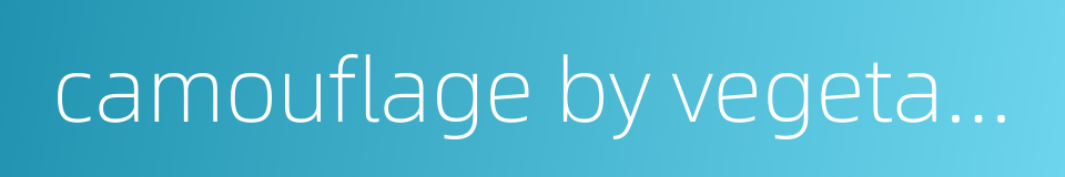 camouflage by vegetation的同义词
