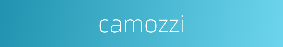 camozzi的同义词