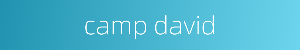 camp david的同义词