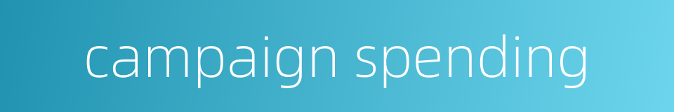 campaign spending的同义词