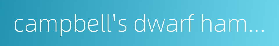 campbell's dwarf hamster的同义词