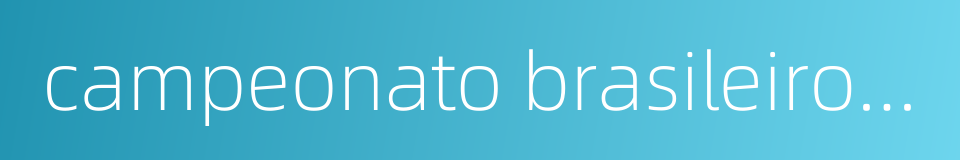 campeonato brasileiro s rie a的同义词