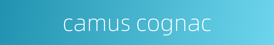 camus cognac的同义词