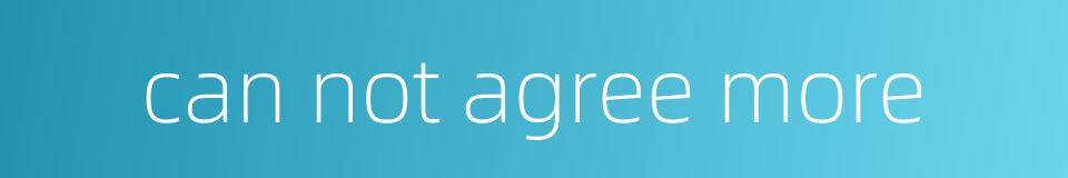 can not agree more的同义词