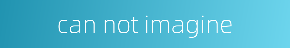 can not imagine的同义词