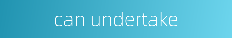 can undertake的同义词