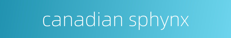 canadian sphynx的同义词