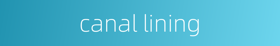 canal lining的同义词