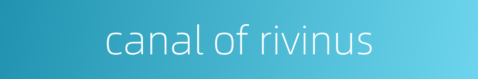 canal of rivinus的同义词