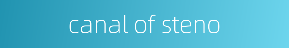 canal of steno的同义词