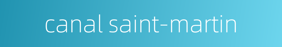 canal saint-martin的同义词