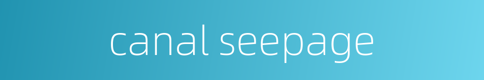 canal seepage的同义词
