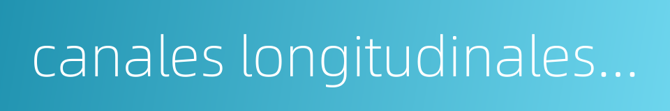 canales longitudinales modioli的同义词