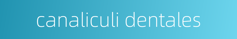canaliculi dentales的同义词