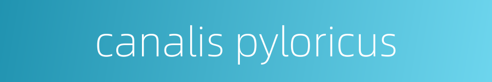 canalis pyloricus的同义词
