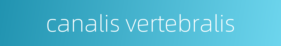 canalis vertebralis的同义词
