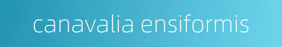 canavalia ensiformis的同义词