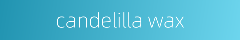 candelilla wax的同义词