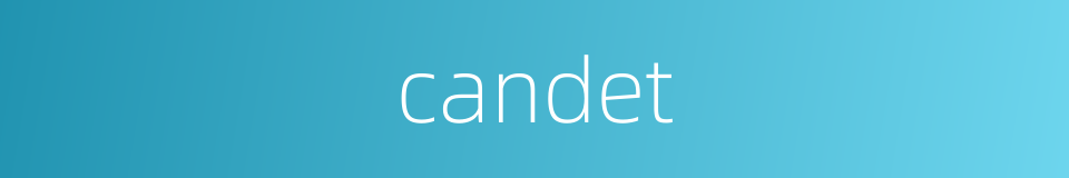 candet的同义词