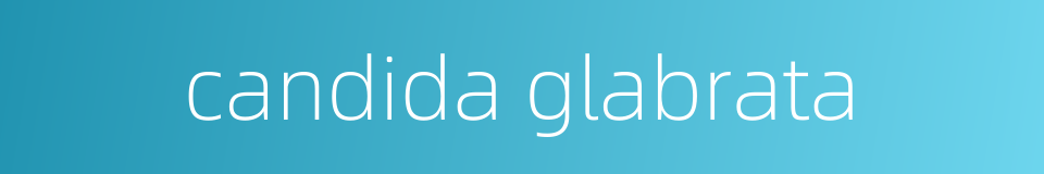 candida glabrata的同义词