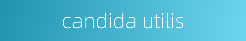 candida utilis的同义词